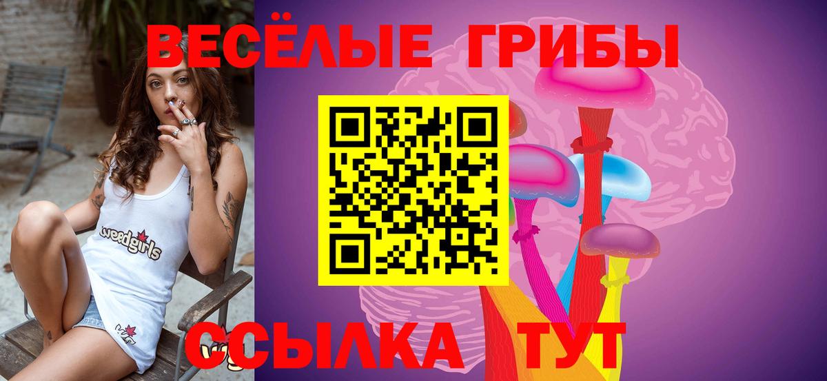 Галлюциногенные грибы ЛСД Новочебоксарск
