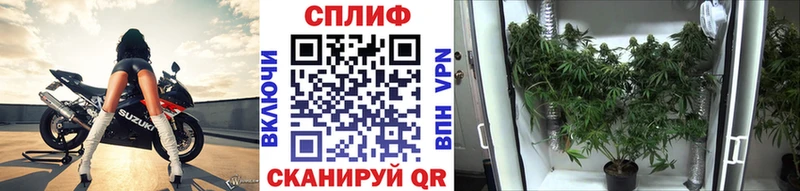 МАРИХУАНА марихуана  цены   Новочебоксарск 